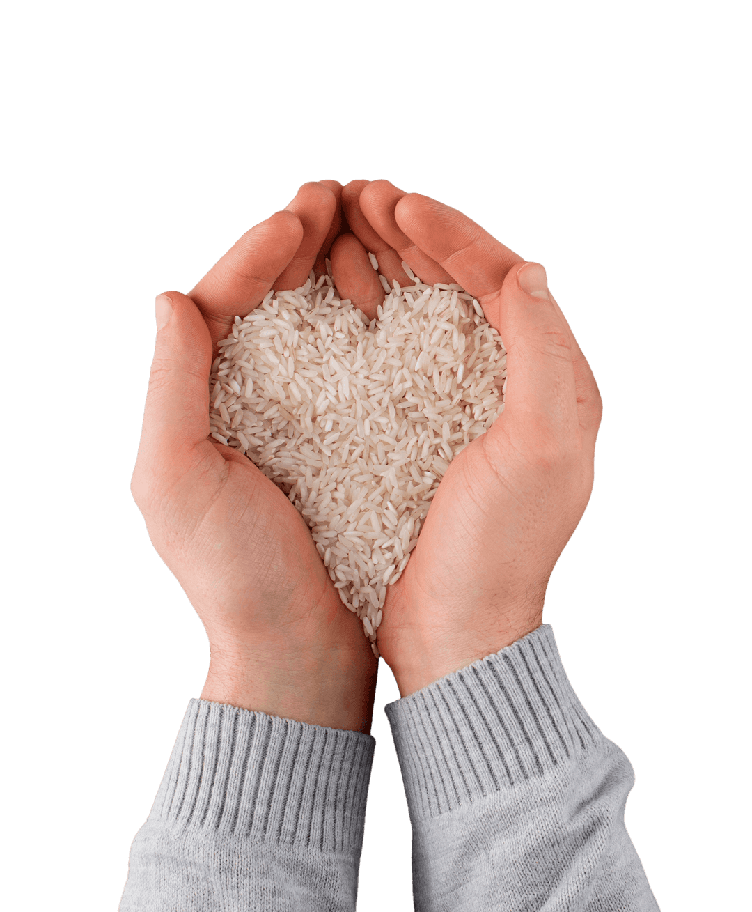 Hands holding grain