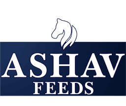 Ashav Feeds